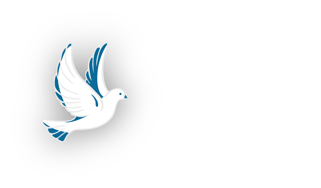 Nomad | Noir Dove
